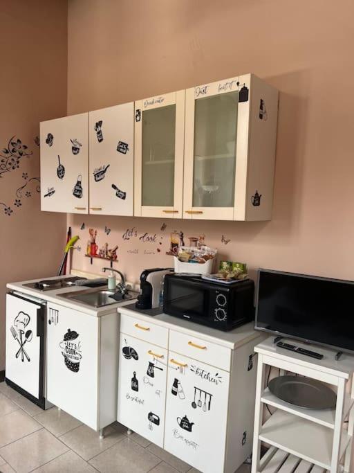 Minimal Studio Con Travi A Vista Piacenza Zewnętrze zdjęcie